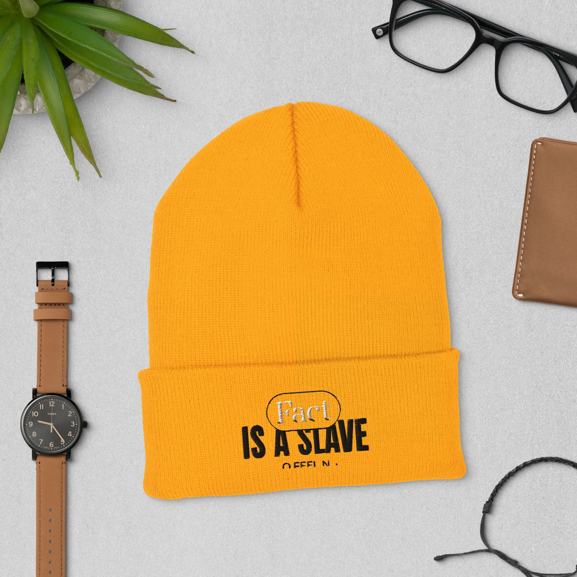 FACT IS A SLAVE Cuffed Beanie - TBM