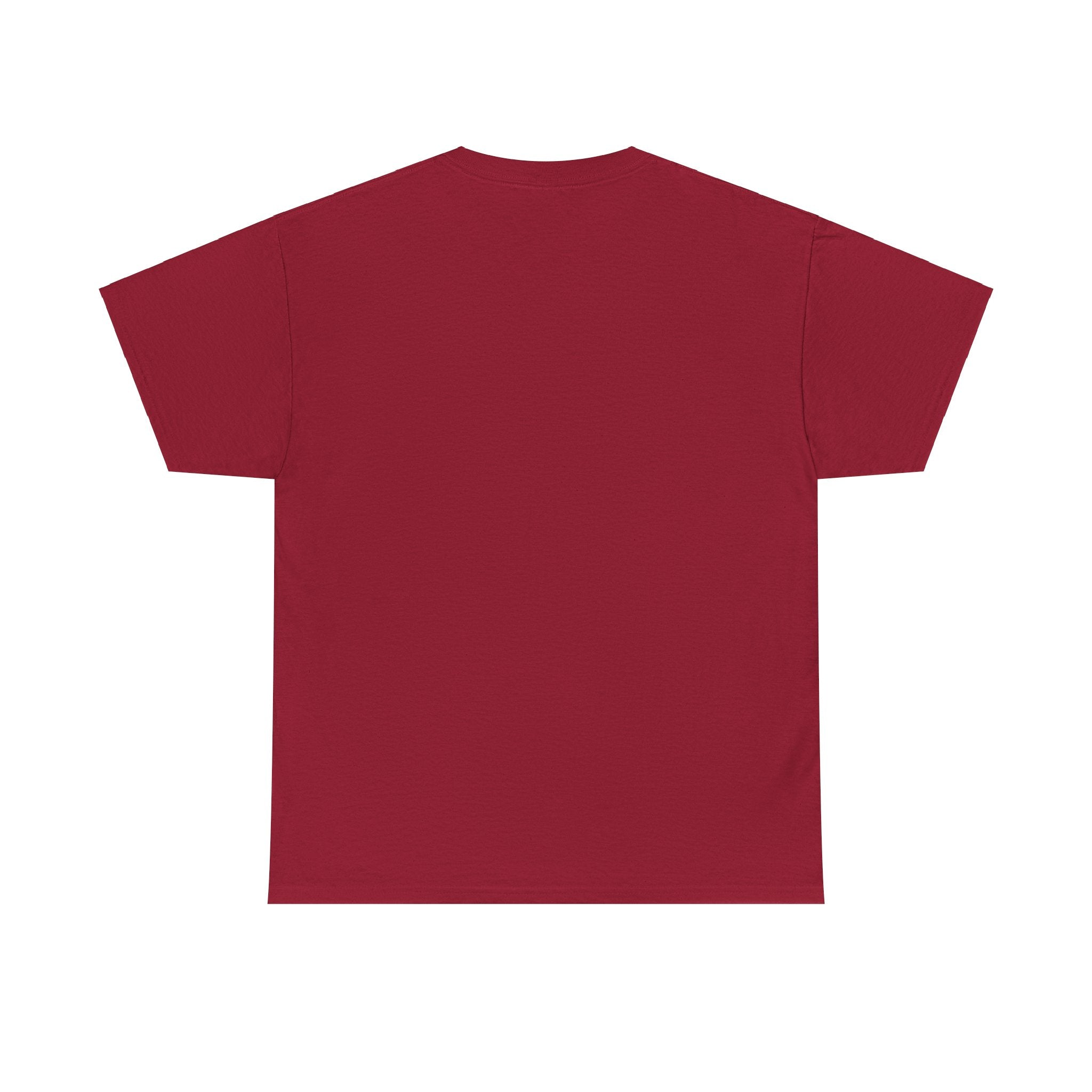 Living Faith Unisex Heavy Cotton Tee - TBM