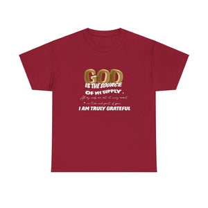 GOD is the source Unisex Heavy Cotton Tee