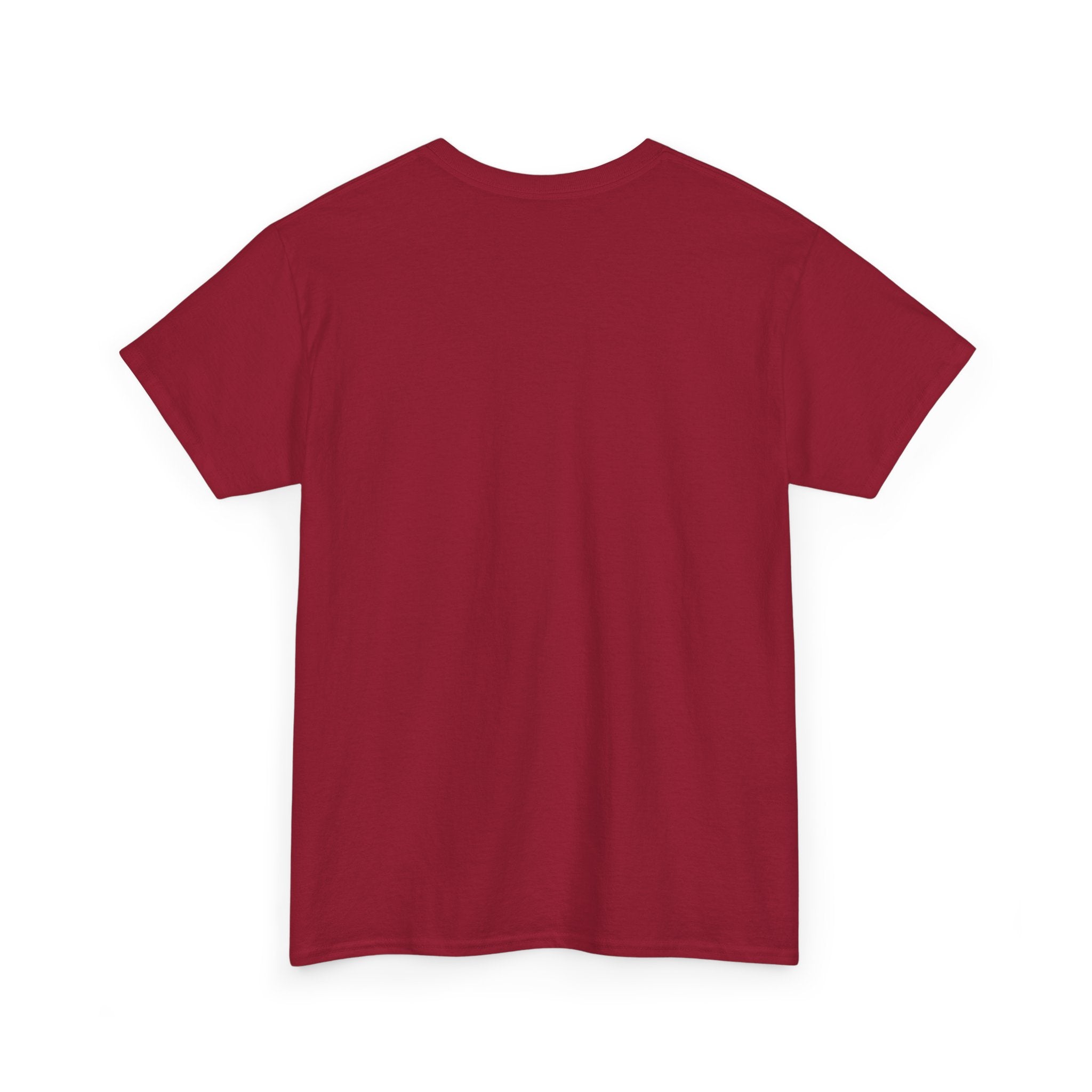 Fact Is A Skave Unisex Heavy Cotton Tee