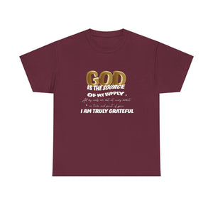 GOD is the source Unisex Heavy Cotton Tee